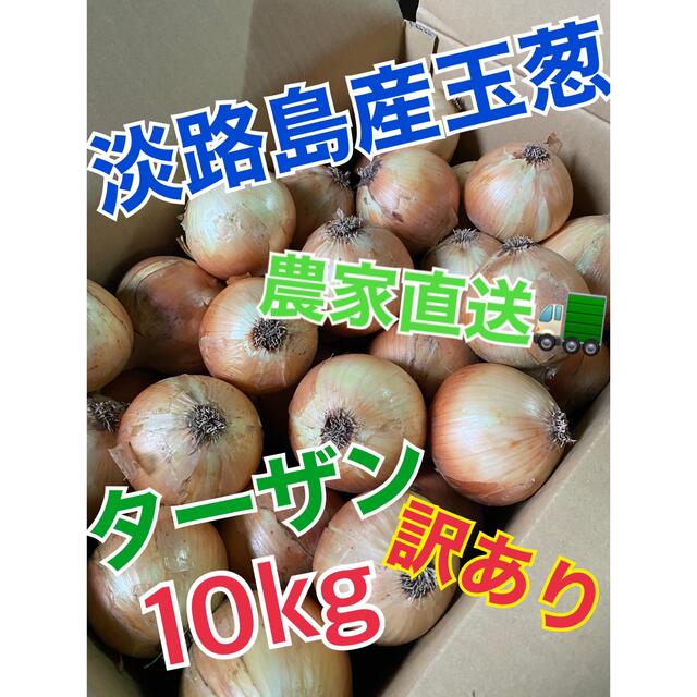 【淡路島産玉葱】ターザン 10kg 訳あり 食品/飲料/酒の食品(野菜)の商品写真