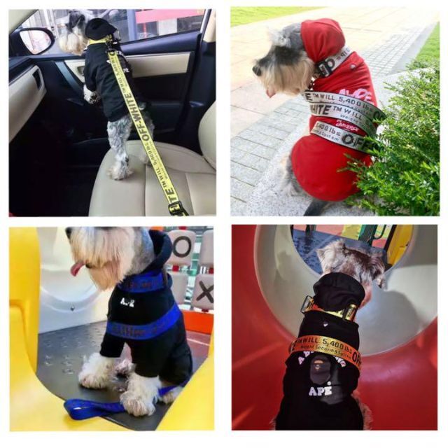 まとめ4点セット　首輪 チョーカー リード ドッグ  リーシュ オフホワイトロゴ その他のペット用品(犬)の商品写真