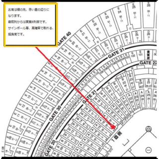 ヨミウリジャイアンツ(読売ジャイアンツ)の6月22日(水) 巨人vs横浜DeNA 東京ドーム オーロラシートペア 角席連番(野球)