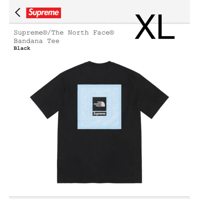 Supreme The North Face Bandana Tee black