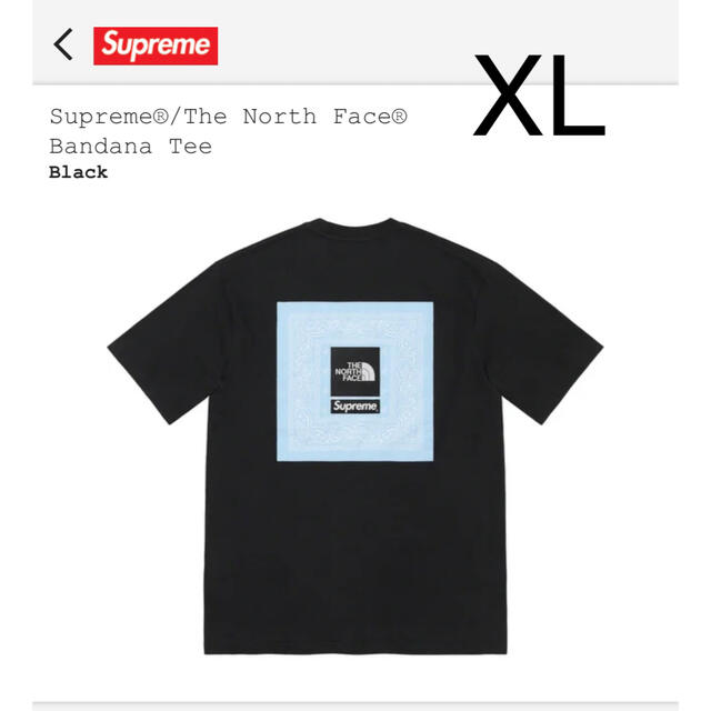 Supreme The North Face Bandana Tee black