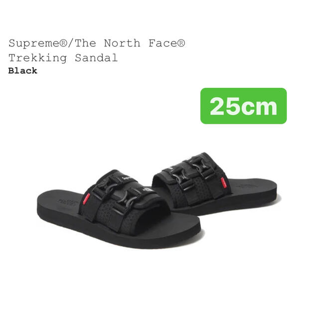 Supreme North Face Trekking Sandal 25cm 高級素材使用ブランド 5148 ...