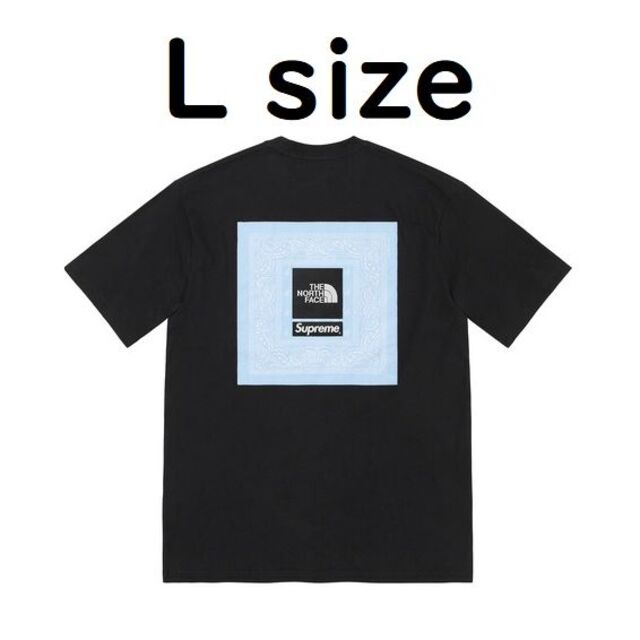 Supreme The North Face bandana tee Black