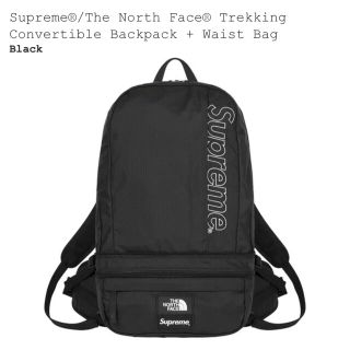 Supreme North Face Trekking Backpack (バッグパック/リュック)