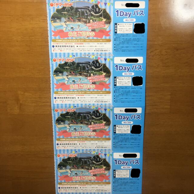 東京サマーランド 1Dayパス 4枚セット施設利用券
