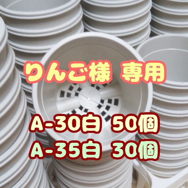 プラ鉢3号鉢【A-30】50個 他 スリット鉢 丸 プレステラ 多肉植物