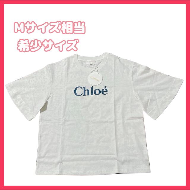 ブランドバ Chloe Mサイズ 花柄フローラル ロゴプリント＊の通販 by (R