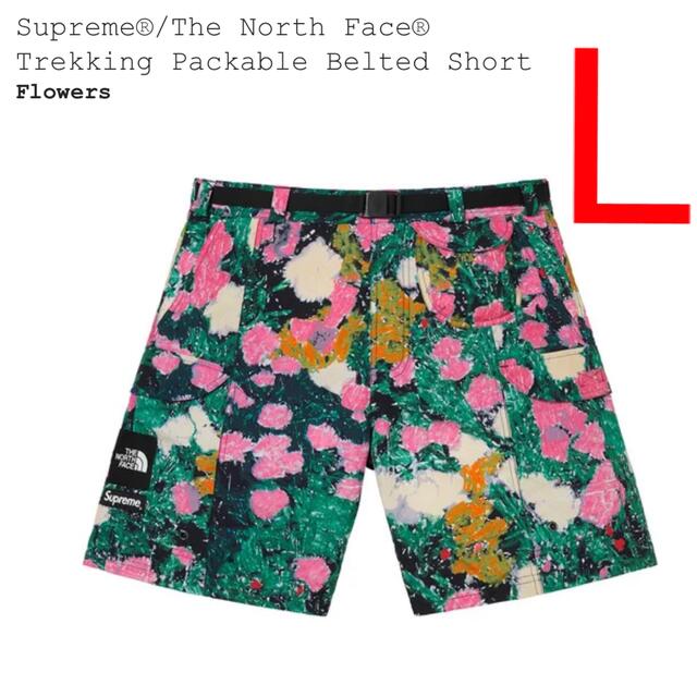 Supreme(シュプリーム)のSupreme The North Face Trekking Short  メンズのパンツ(ショートパンツ)の商品写真