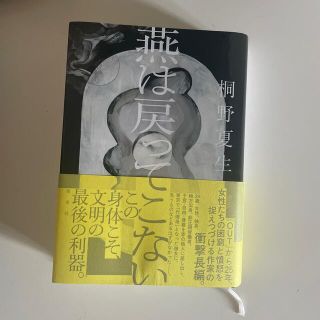 燕は戻ってこない(文学/小説)