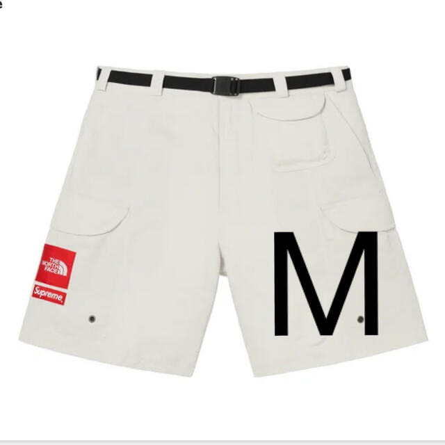 Supreme®/The North Face® Trekking Shortパンツ