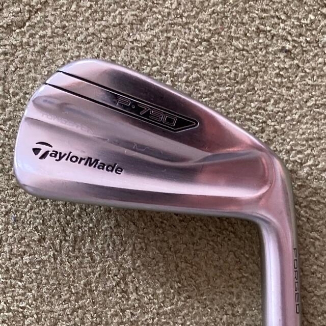 TaylorMade(テーラーメイド)のテーラーメイド P790 アイアン 5 DG S200 スポーツ/アウトドアのゴルフ(クラブ)の商品写真