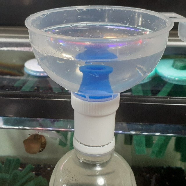 メダカのエサ ゾウリムシ 種水 分離器 10 個 メダカのエサ ゾウリムシ 種水 分離器の通販 by SAKURA LAB's