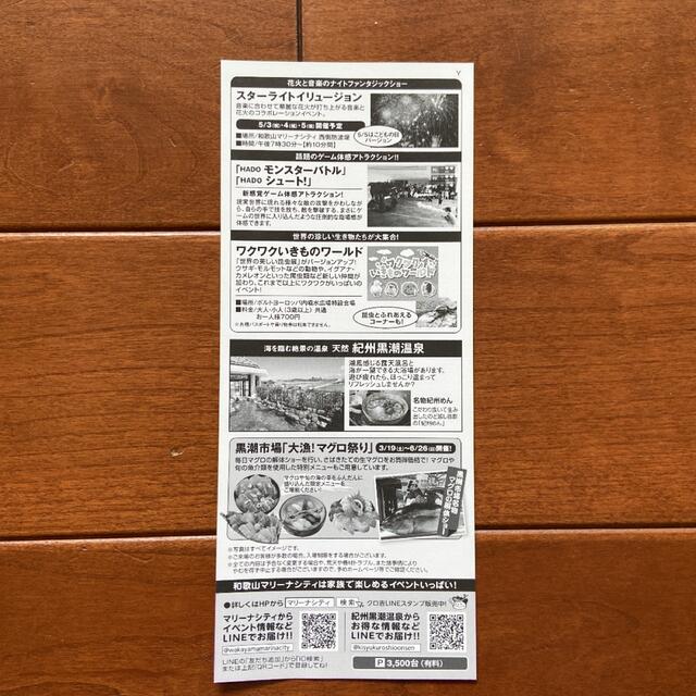 和歌山ポルトヨーロッパ割引券 チケットの施設利用券(遊園地/テーマパーク)の商品写真