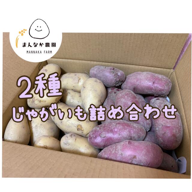 新じゃが選べる2種詰め合わせ 食品/飲料/酒の食品(野菜)の商品写真