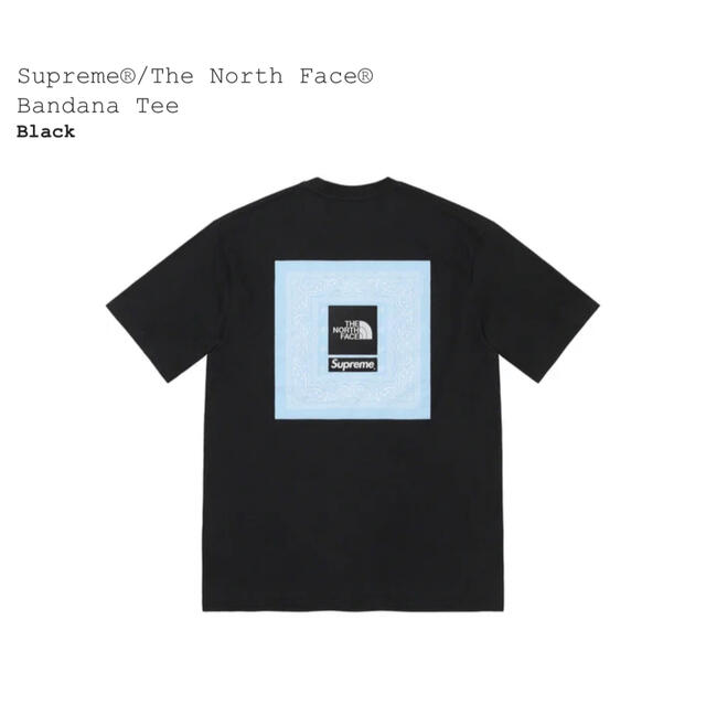Supreme The North Face Bandana Tee Blackメンズ