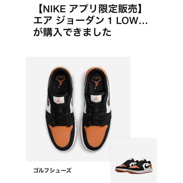 NIKE(ナイキ)のNIKE AIR JORDAN 1 Low Golf シャタバ 27cm us9 メンズの靴/シューズ(スニーカー)の商品写真