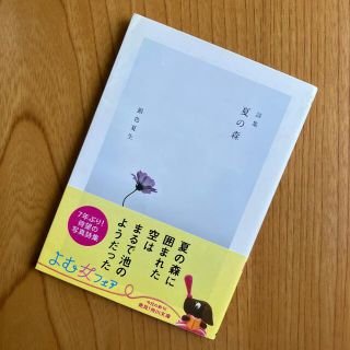 「夏の森 」詩集　銀色夏生(その他)