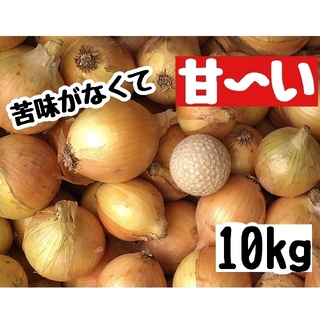 大地の恵み 和歌山県産 玉ねぎ10kg(野菜)