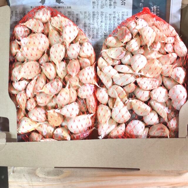 本場からお届け!!青森県産にんにく 福地ホワイト六片 バラ お試し500ｇ 食品/飲料/酒の食品(野菜)の商品写真