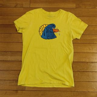 パタゴニア(patagonia)のパタゴニアTシャツ　美品(シャツ/ブラウス(半袖/袖なし))