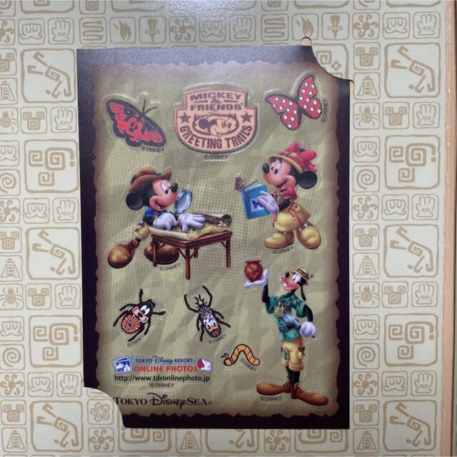ディズニー スナップフォト 台紙 エンタメ/ホビーのおもちゃ/ぬいぐるみ(キャラクターグッズ)の商品写真