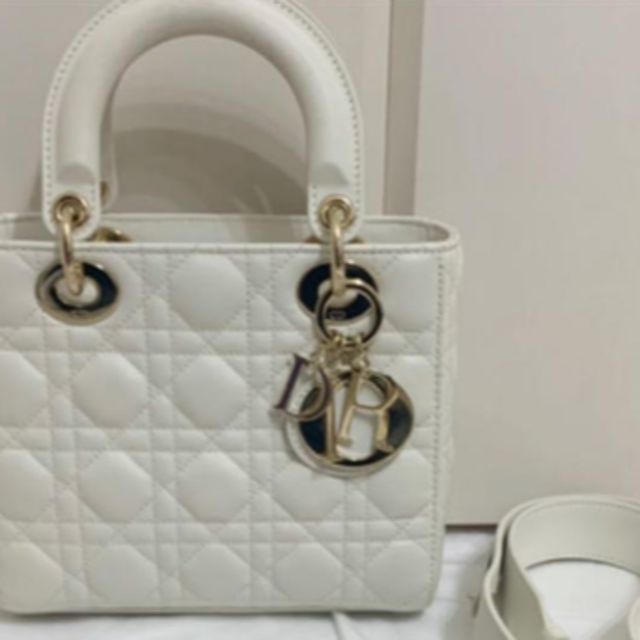 売れ筋】 Christian - Dior Dior レディディオール ハンドバッグ