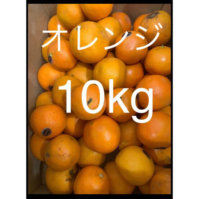 傷あり訳ありアメリカ産オレンジ約10kg　フルーツ