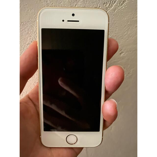iPhone SE 第１世代　16GB Docomo　白ロム 本体のみ