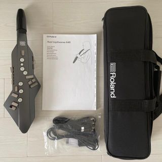 ローランド(Roland)のRoland/AE-05 Aerophone GO エアロフォン 修理品(サックス)