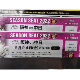 6月24日(金) 阪神ＶＳ中日 甲子園球場 レフト外野指定席通路側2枚(野球)