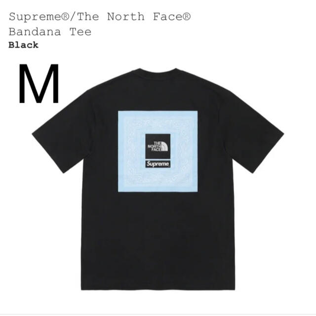 Supreme The North Face Bandana Tee M