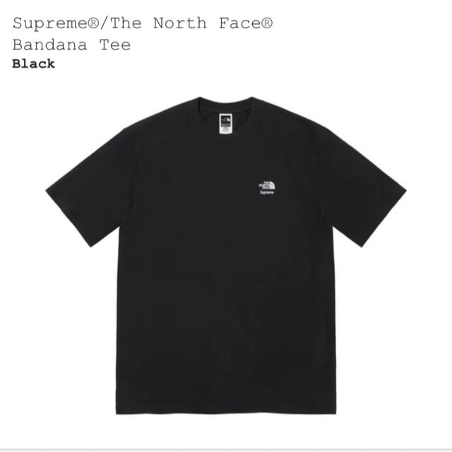 Supreme The North Face Bandana Tee M