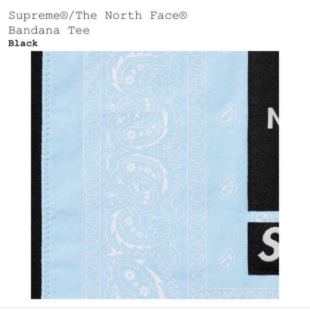 Supreme The North Face Bandana Tee M