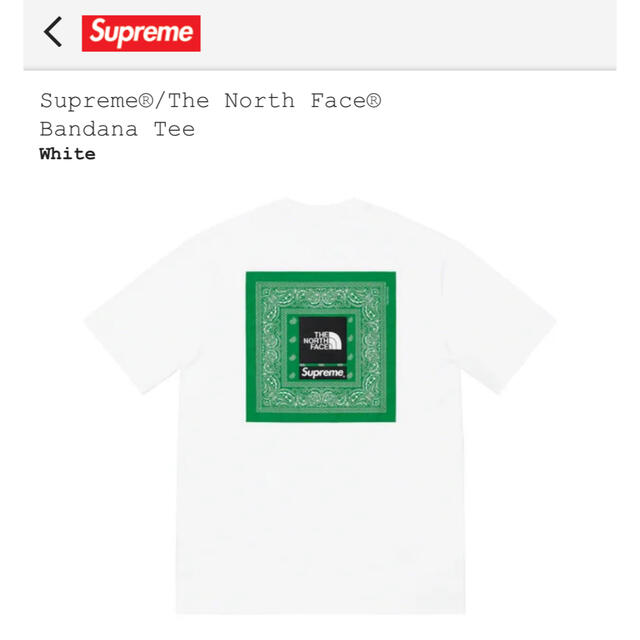 supreme the north face bandana tee