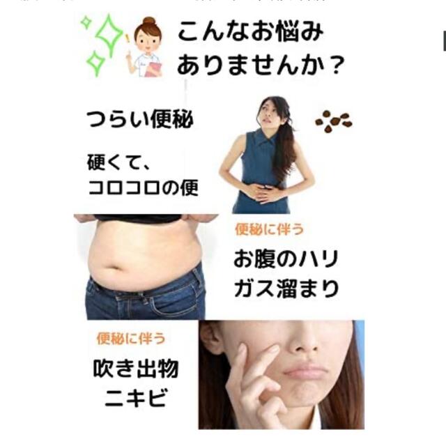 定価1500円　ドッサリズム コスメ/美容のダイエット(ダイエット食品)の商品写真