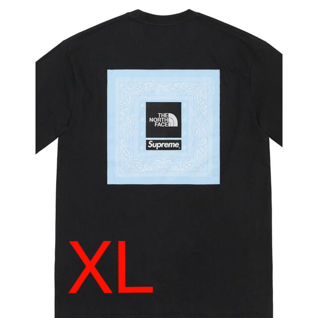 Supreme The North Face Bandana Tee