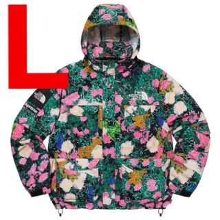 シュプリーム(Supreme)のSupreme The North Face Trekking Jacket(マウンテンパーカー)