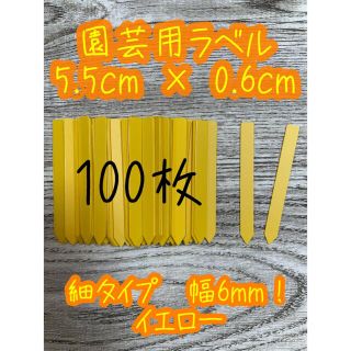 イエロー　ガーデニング 多肉植物に☺︎ 園芸用ラベル ネームラベル 100枚(その他)