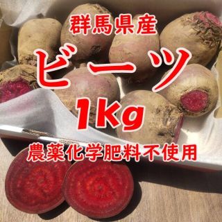 【群馬県産】ビーツ １kg【農薬化学肥料不使用】(野菜)