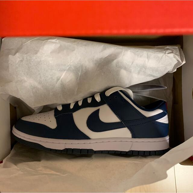 Nike dunk valerian blue 28cm