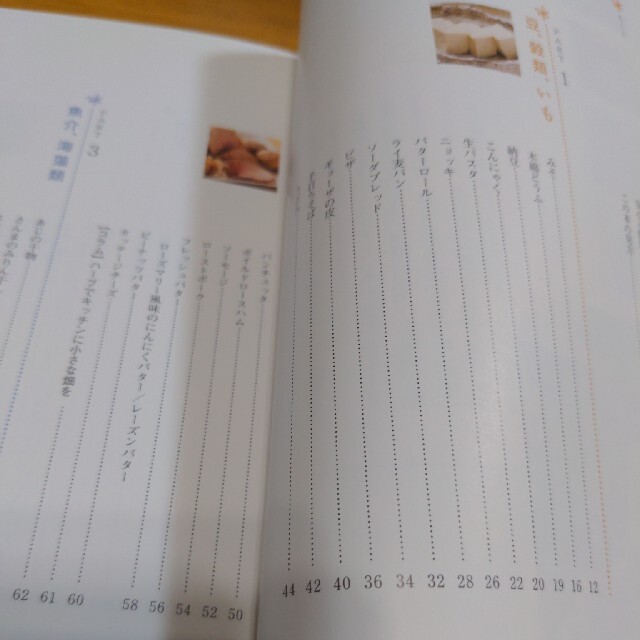 はじめての手作り食品１００ 安心でおいしい！ エンタメ/ホビーの本(料理/グルメ)の商品写真