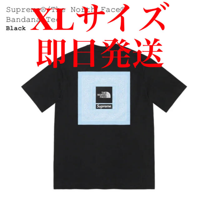 supreme the north face bandana tee