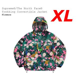 シュプリーム(Supreme)のsupreme The North Face Trekking Jacket (マウンテンパーカー)