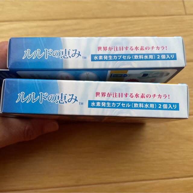 ルルドの恵み シリカ水素水 エコロインターナショナル 2個セット