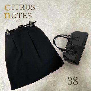 シトラスノーツ(CITRUS NOTES)の新品cITRUS nOTESシトラスノーツ　フレアスカート　ブラック　38号(ひざ丈スカート)