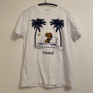 ハーブティー様専用(Tシャツ(半袖/袖なし))