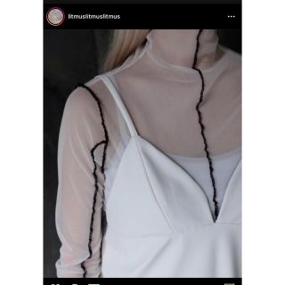 ステュディオス(STUDIOUS)のlitmus sheer skin tops(カットソー(長袖/七分))