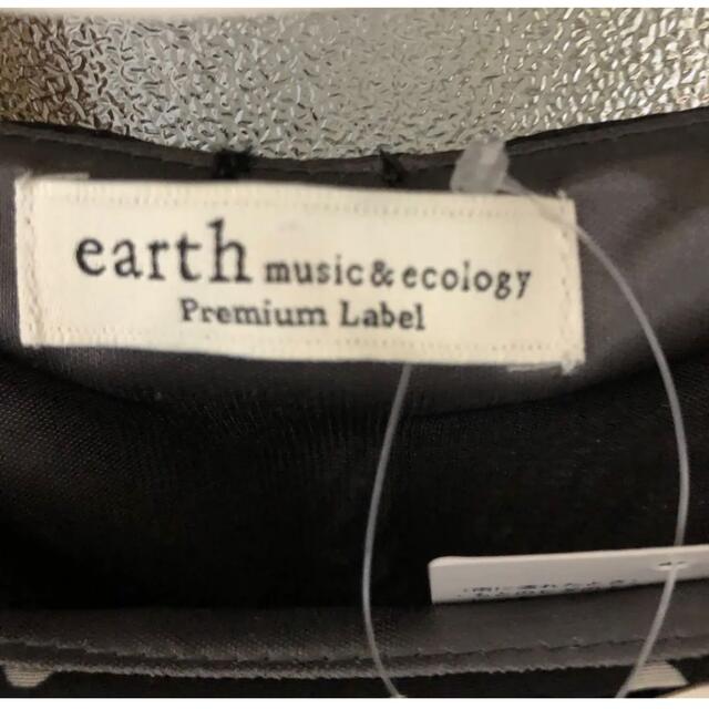 earth music & ecology(アースミュージックアンドエコロジー)の専用‼️レイヤードプリーツワンピース　新品未使用　タグ付き レディースのワンピース(ロングワンピース/マキシワンピース)の商品写真