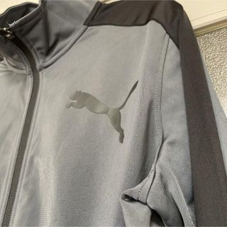 プーマ(PUMA)のPUMA ジャージ  ヨーロピアンサイズ　メンズS(ジャージ)