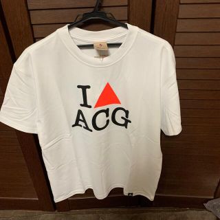 ナイキ(NIKE)のacgtシャツ (Tシャツ/カットソー(七分/長袖))